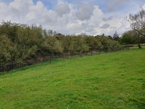 Cattle Fencing- click for photo gallery